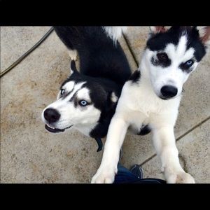 Meet your Posher, Matt